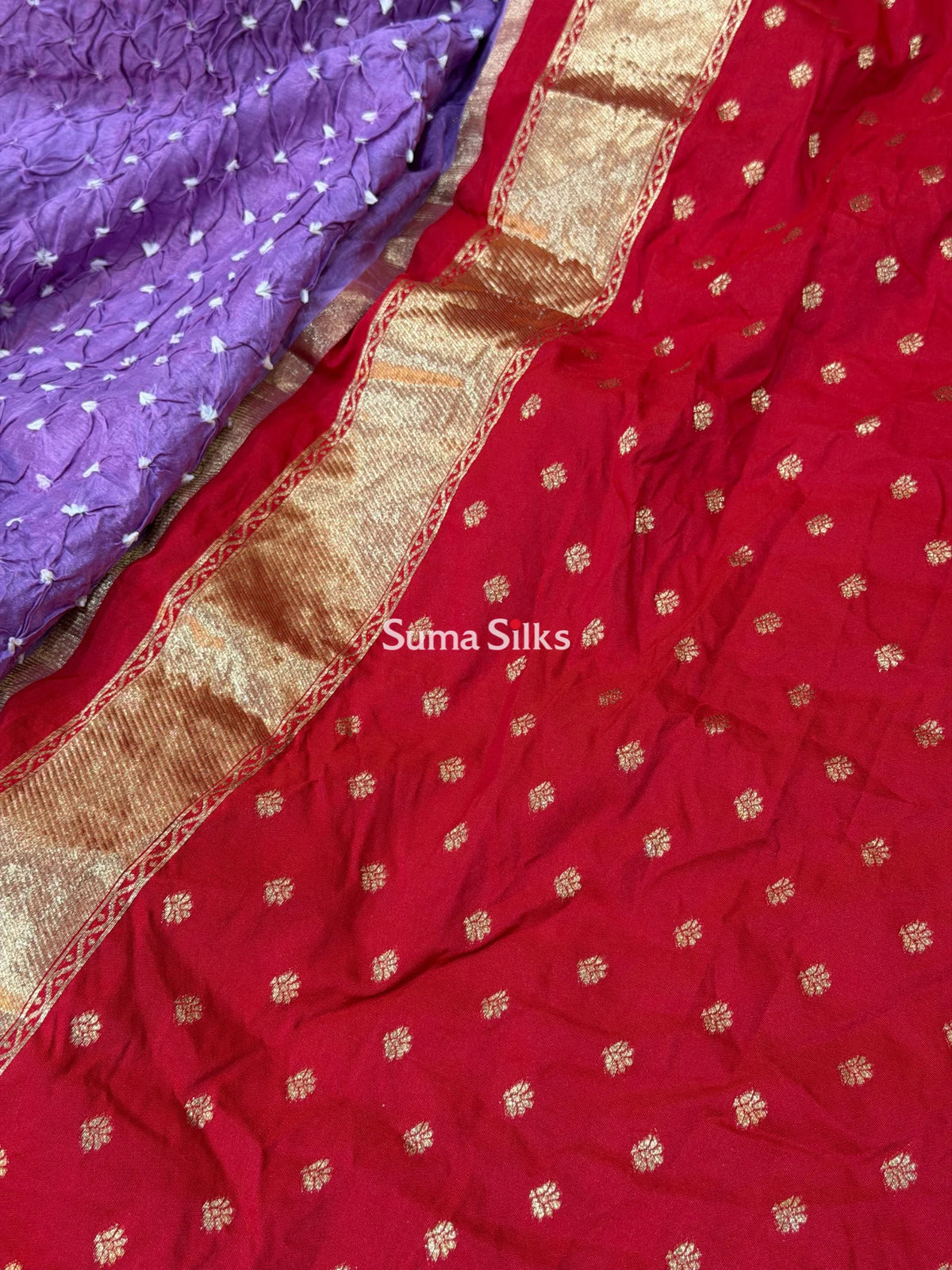 Hand Bandhej Patola Border Lavender Color