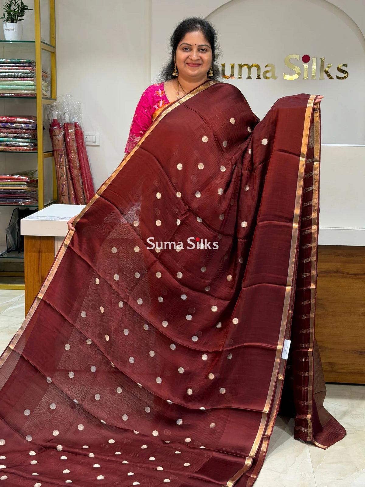Manipuri Kota Paithani Pallu Brown Color